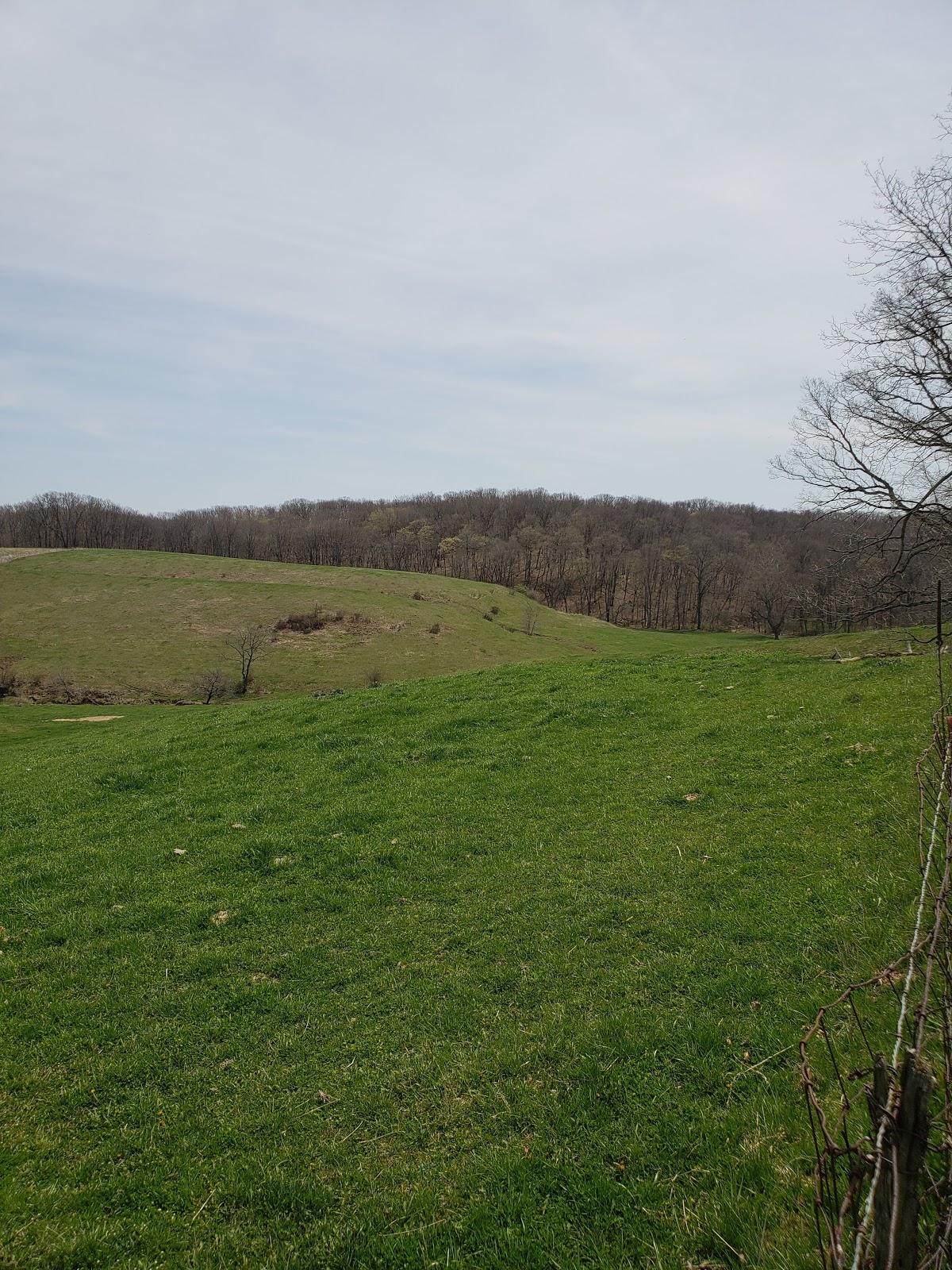 Weinberg-King State Park Fish and Wildlife Area