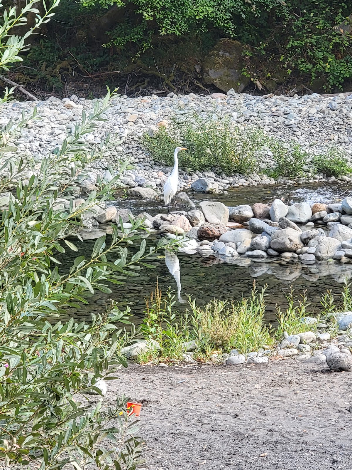South Fork Chetco Campground