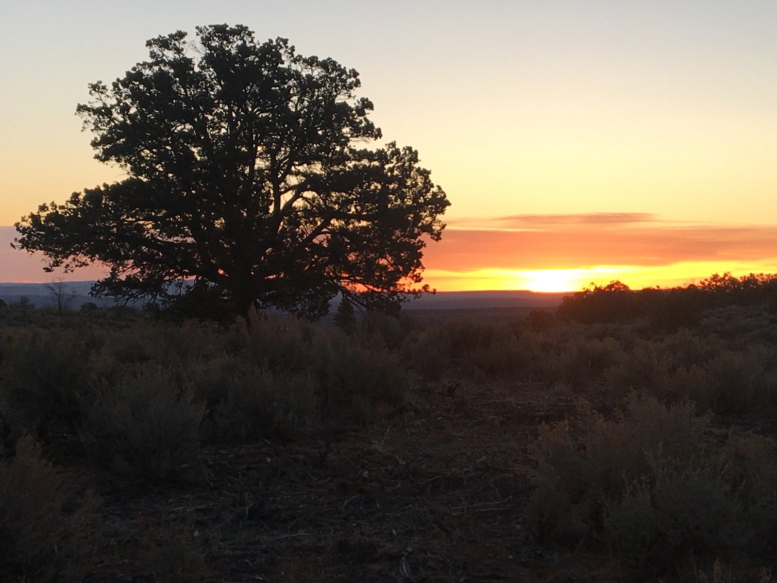 Ponderosa Grove Campground