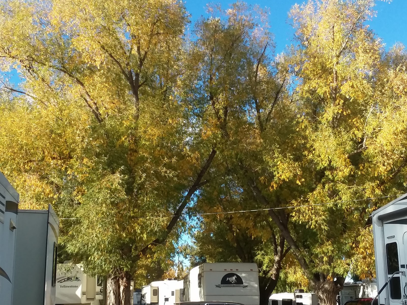 Maverick RV Park and Campground