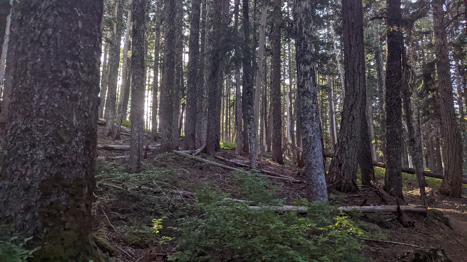 Rainy Lake Campground