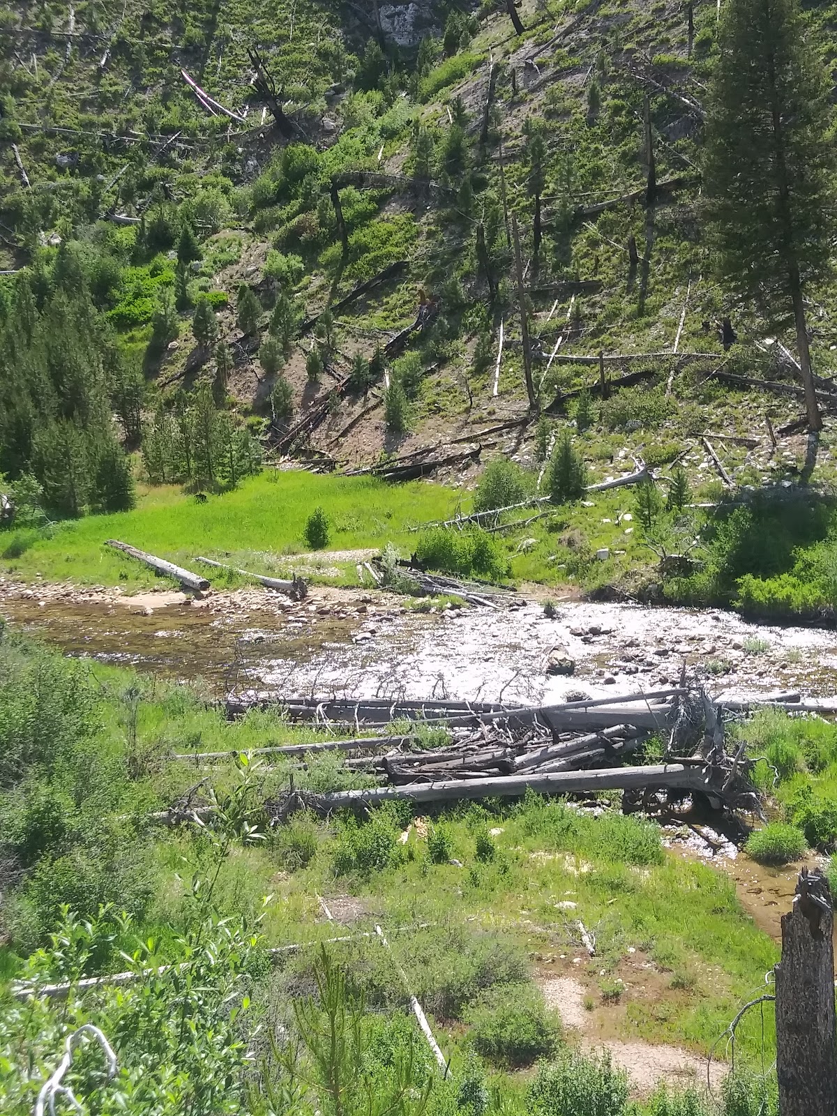 Stolle Meadows Cabin