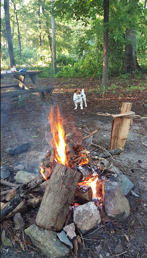 Woodsmoke Campground