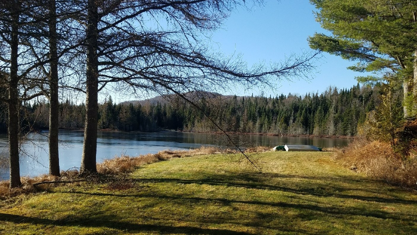 Ladd Pond Cabins And Campground
