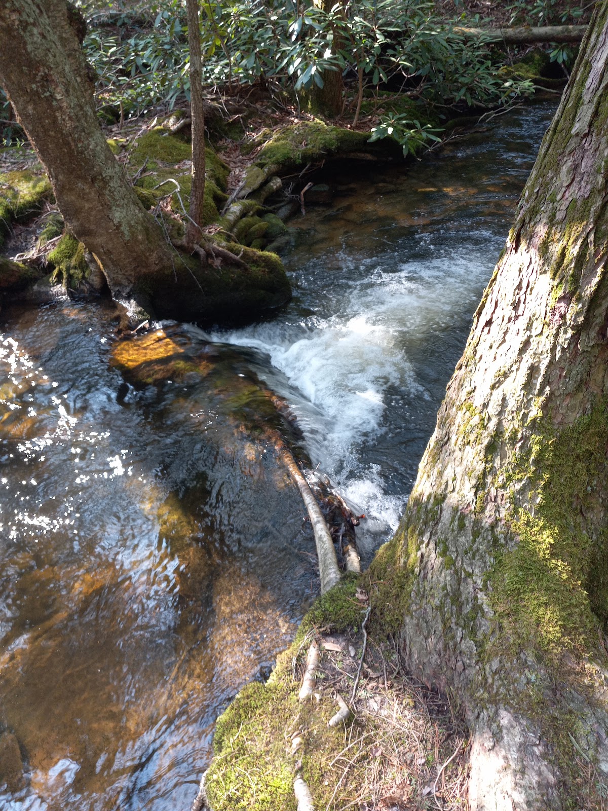 Ravensburg State Park