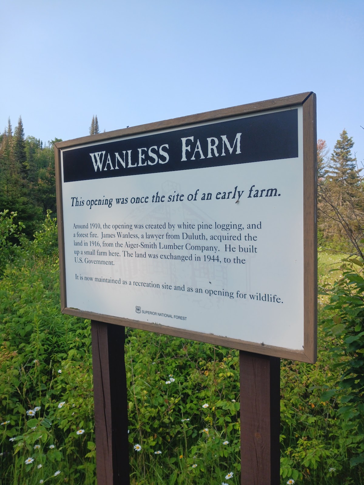 Harriet Lake Rustic Campground