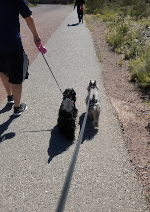 Franklin Mountains State Park
