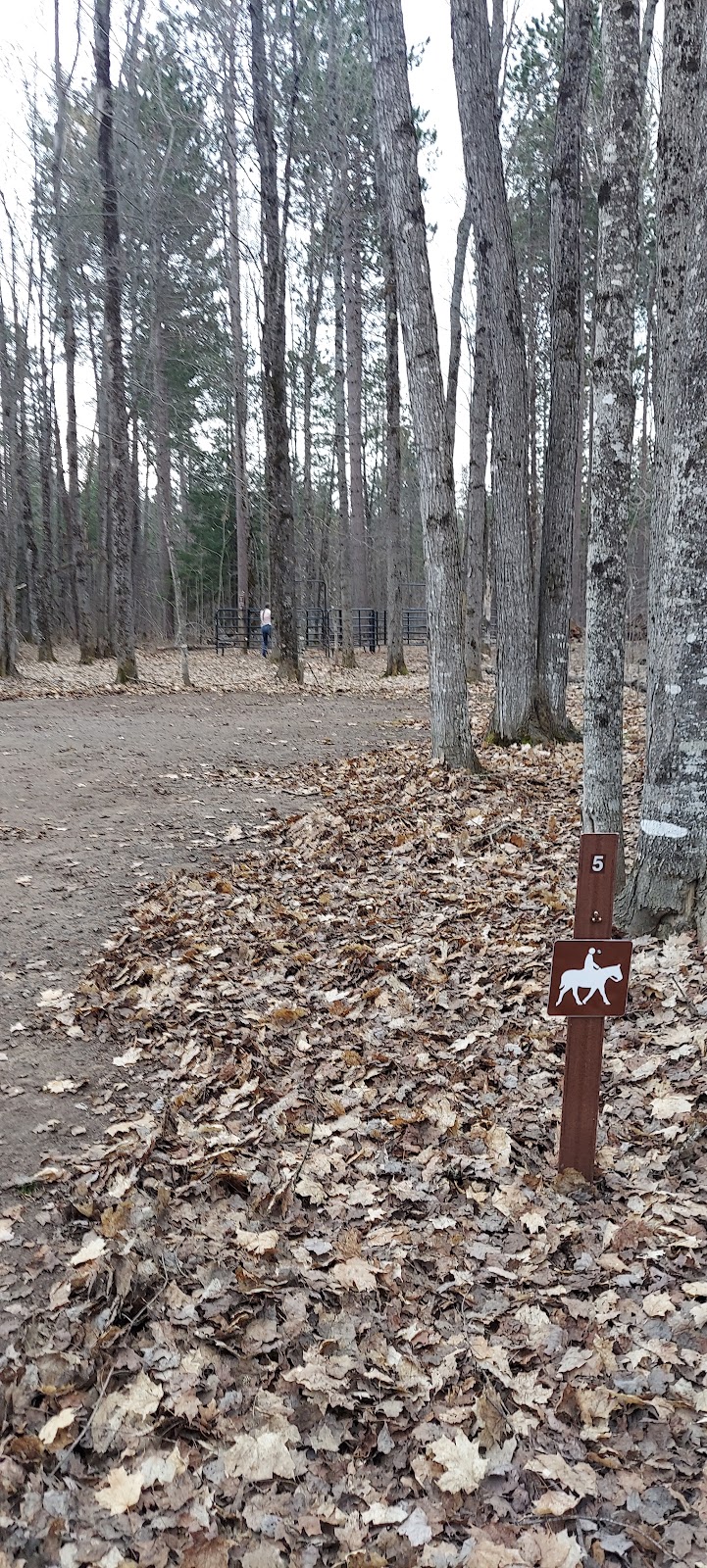 Courtney Lake Campground