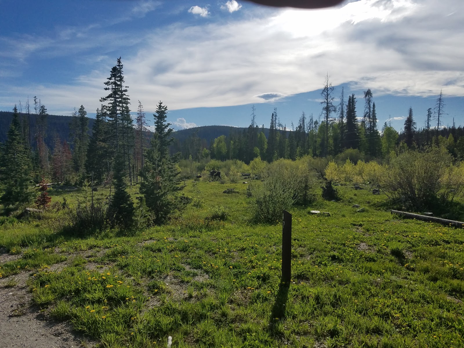 Ryan Park Campground