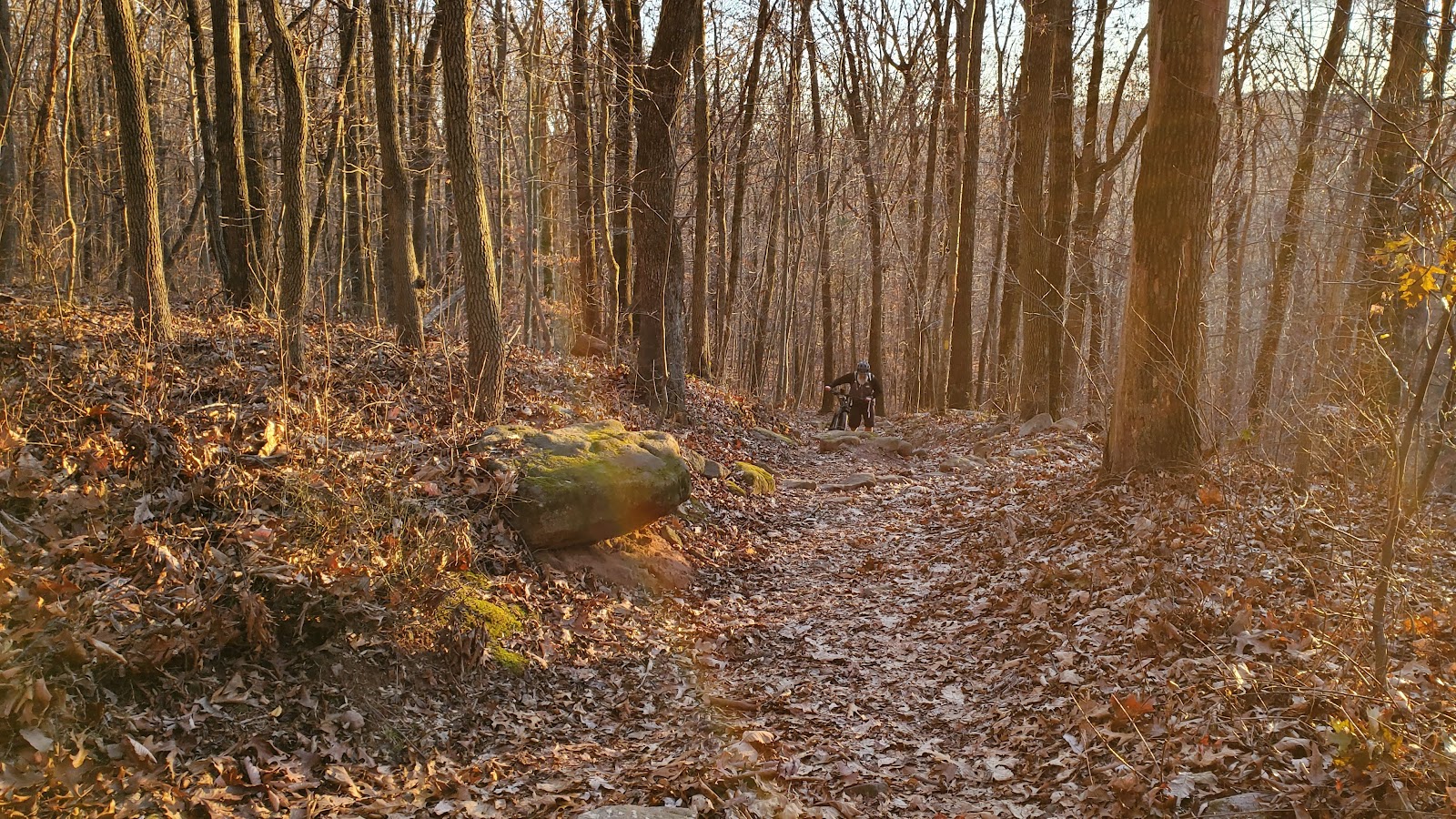 French Creek State Park