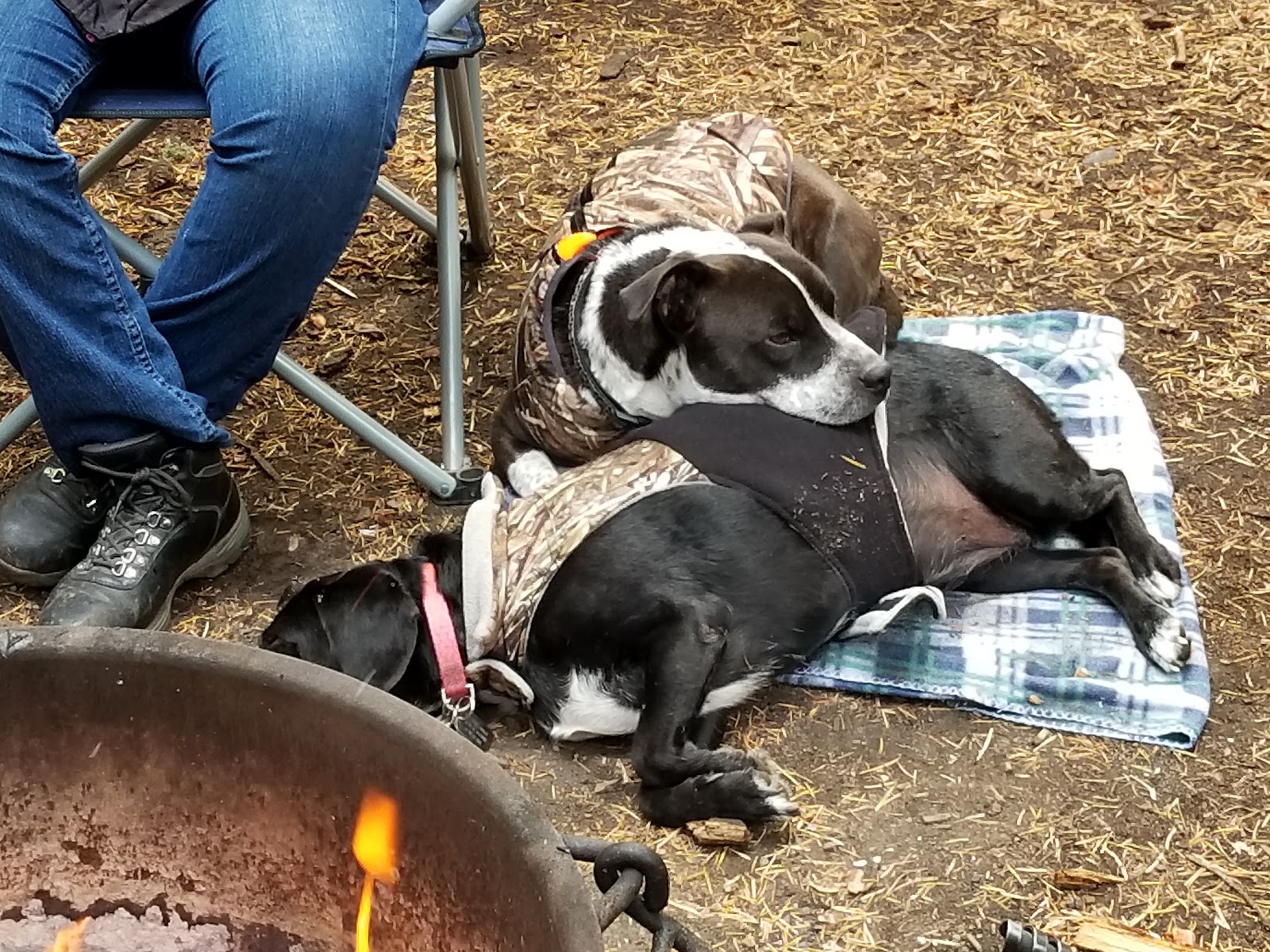 Eightmile Crossing Campground