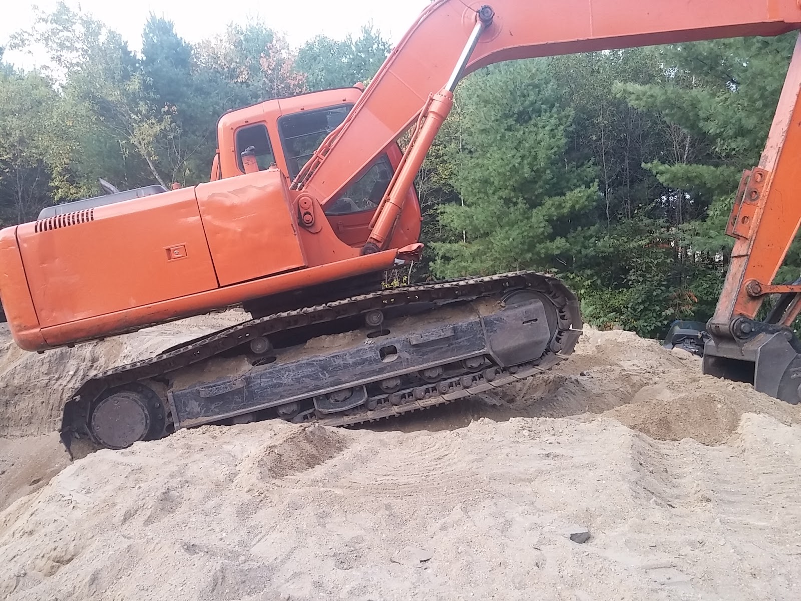 Shannon's Saco River Sanctuary