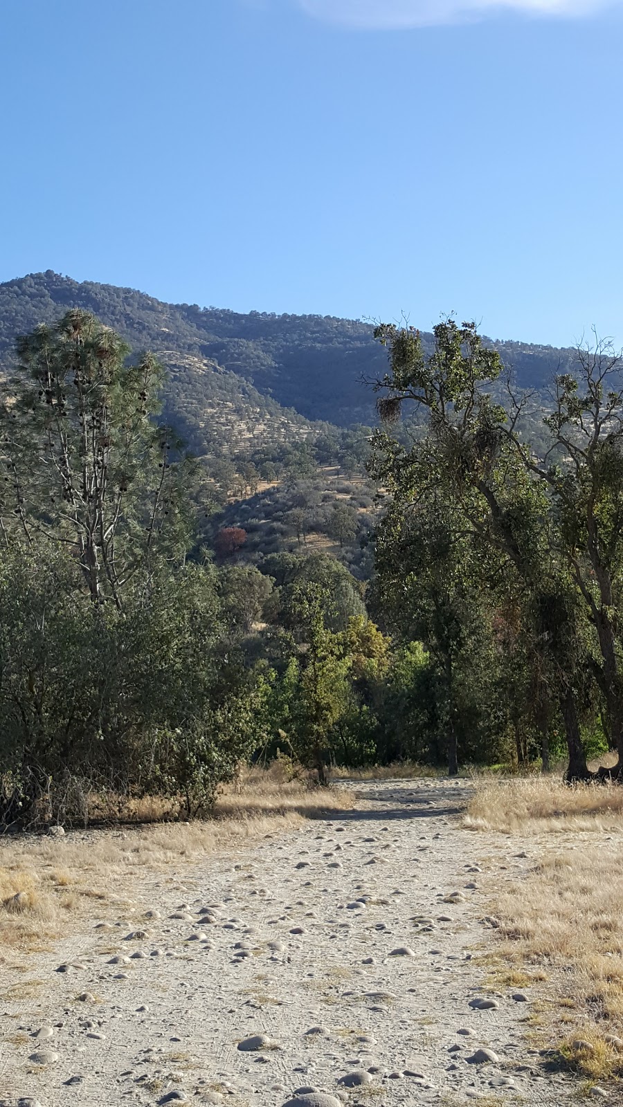 Choinumni Park Campground