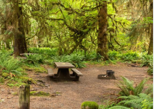 HOH River Resort & RV Park