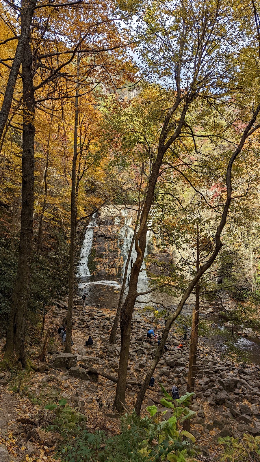 Dennis Cove Recreation Area