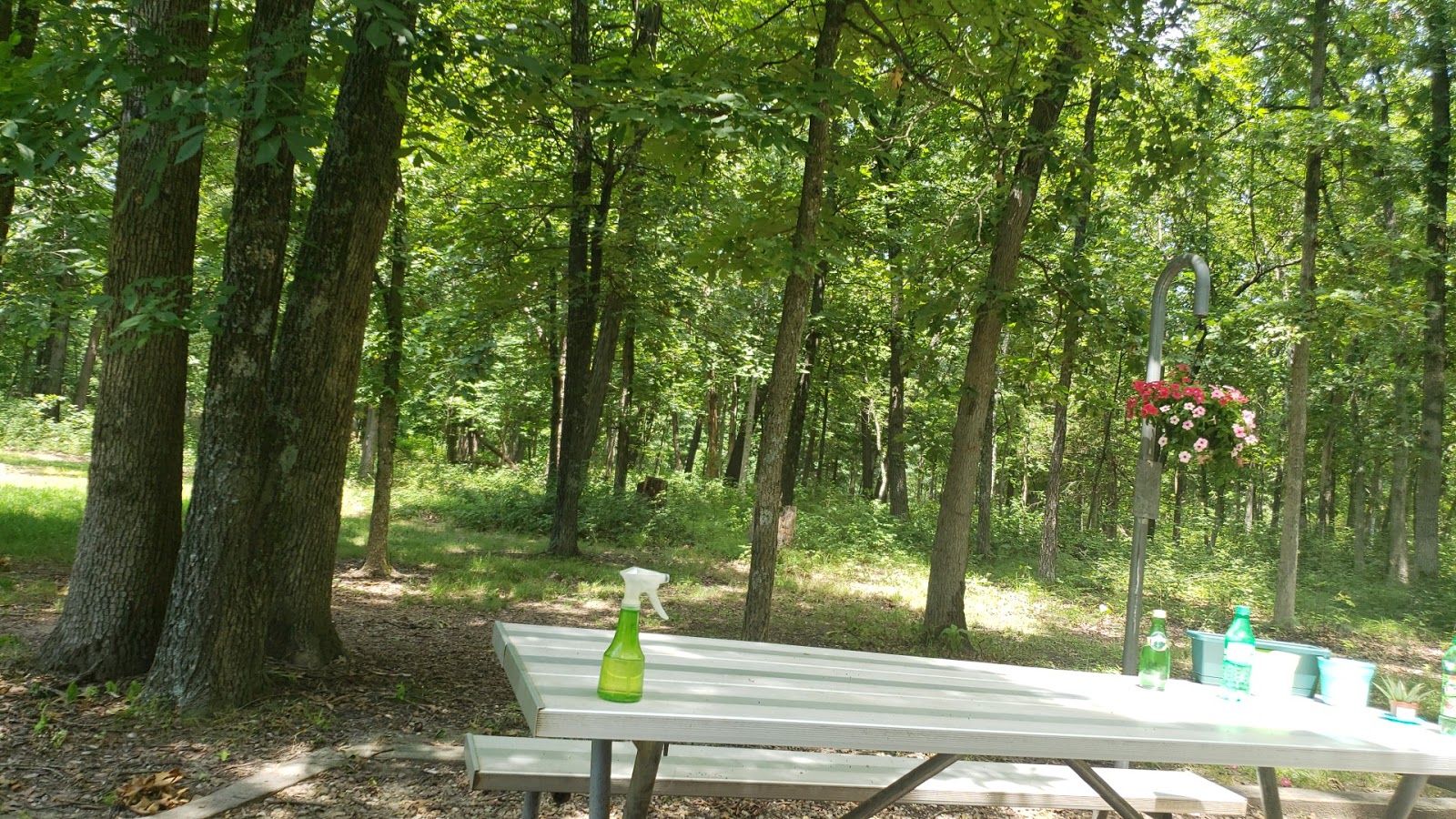 Indian Creek - Sentry Ridge