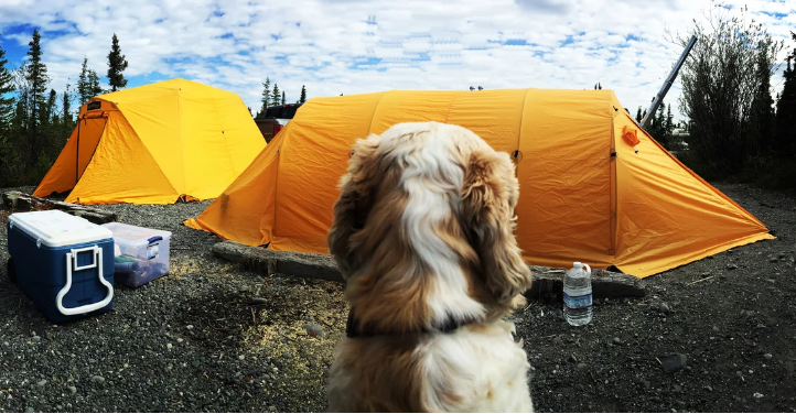 Lake Louise State Recreation Area