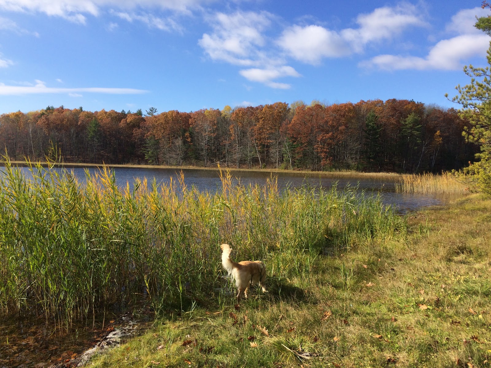 Guernsey Lake SF Campground