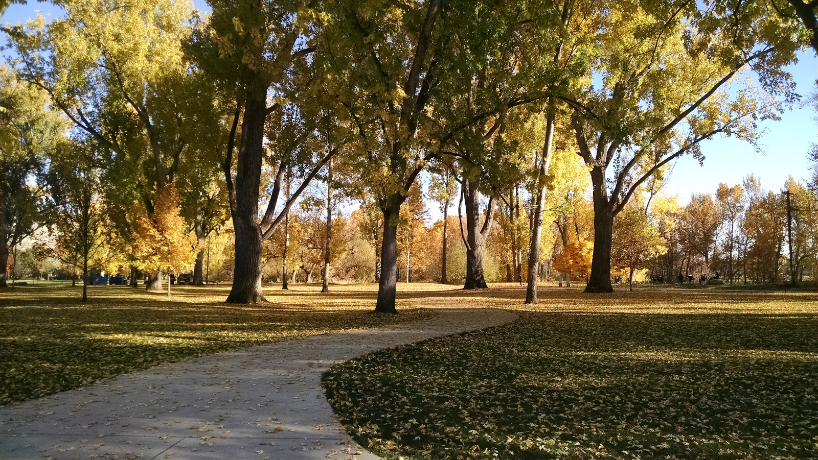 Kristin Armstrong Municipal Park