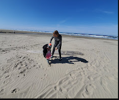 Driftwood Shores Resort