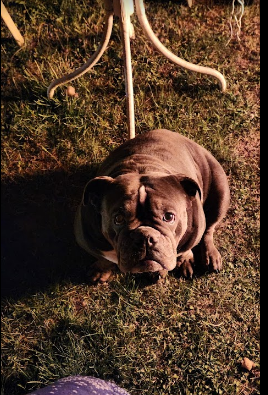 Cortland Country Music Park-Campground