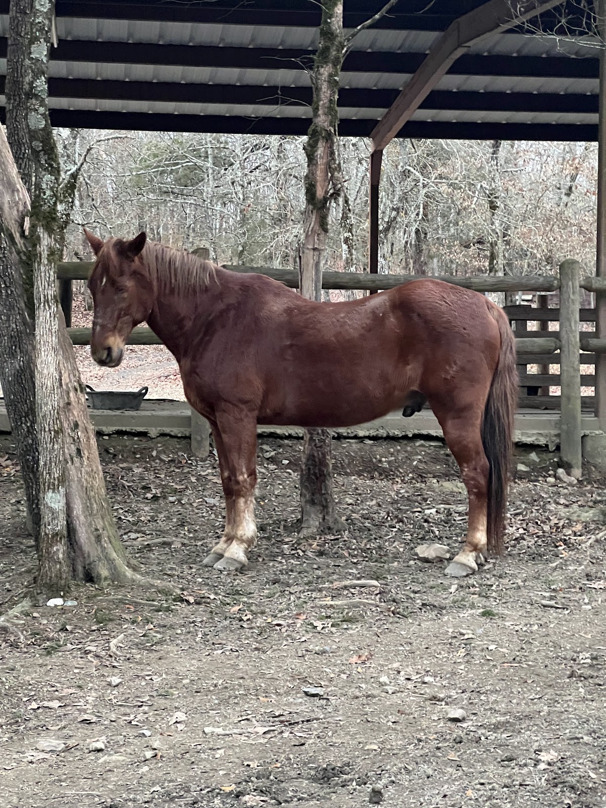 River View Cabins & Canoes