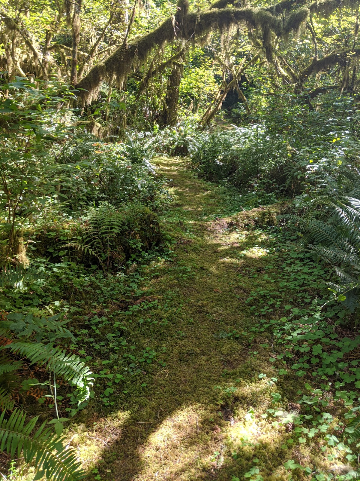 Elkhorn Valley and Canyon Creek Rec Site