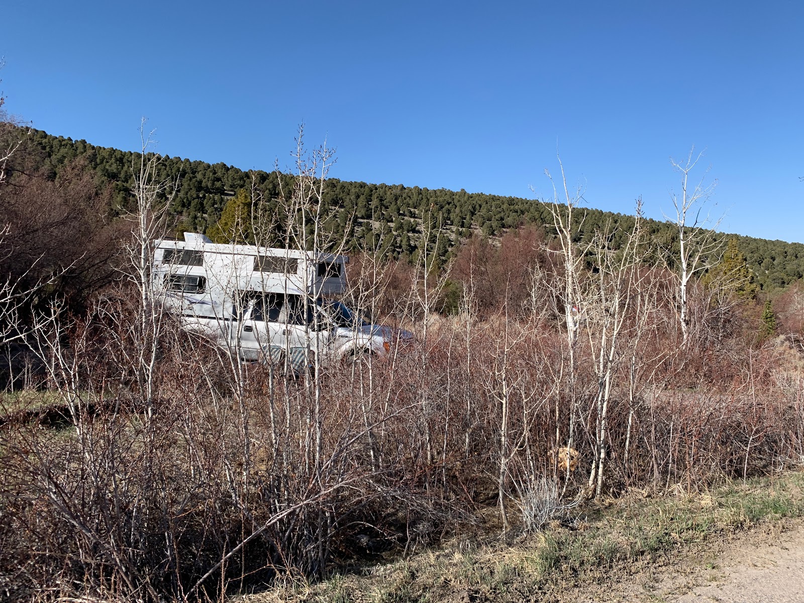 Lower Lehman Creek Campground