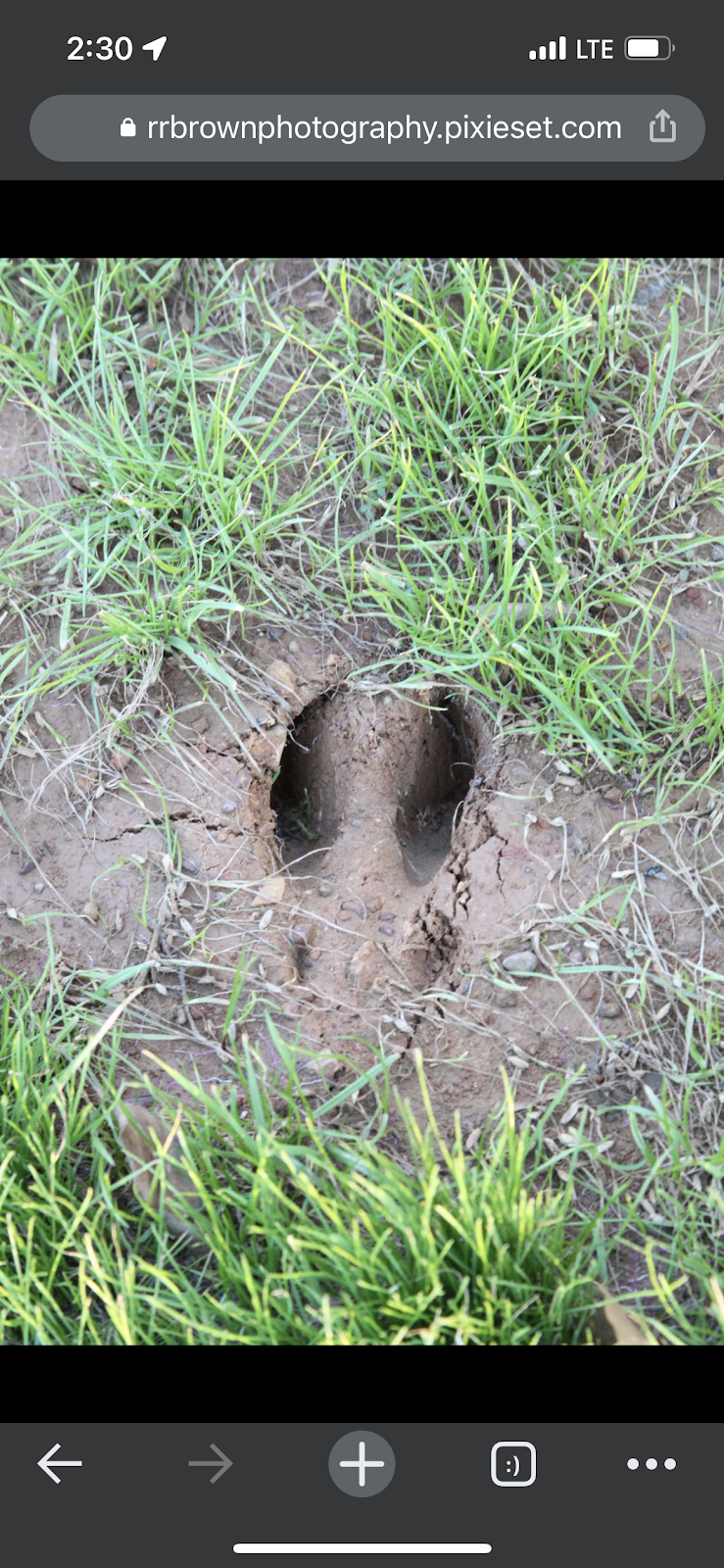 Nature’s Design RV Park