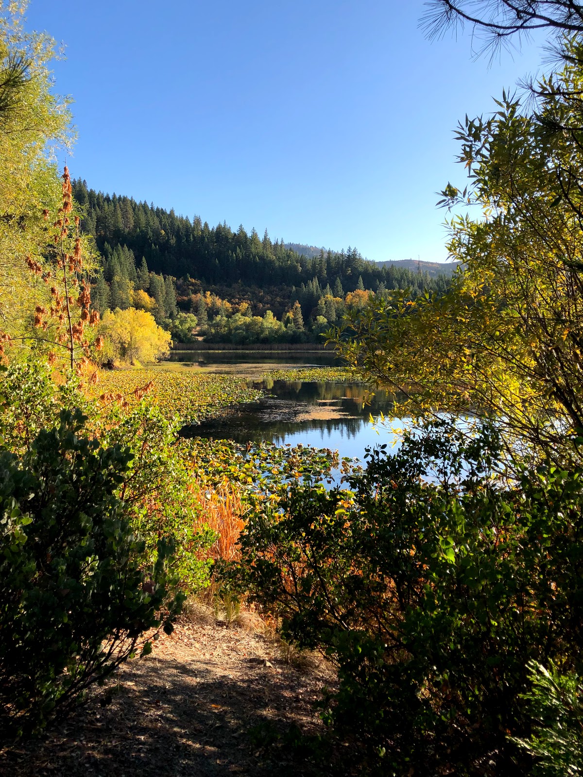 Howard Lake Campground