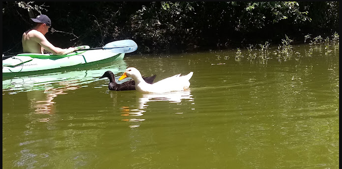 Beaver Point Campground