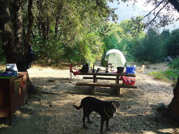 Queen Lily Campground