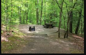 The Groves Campground