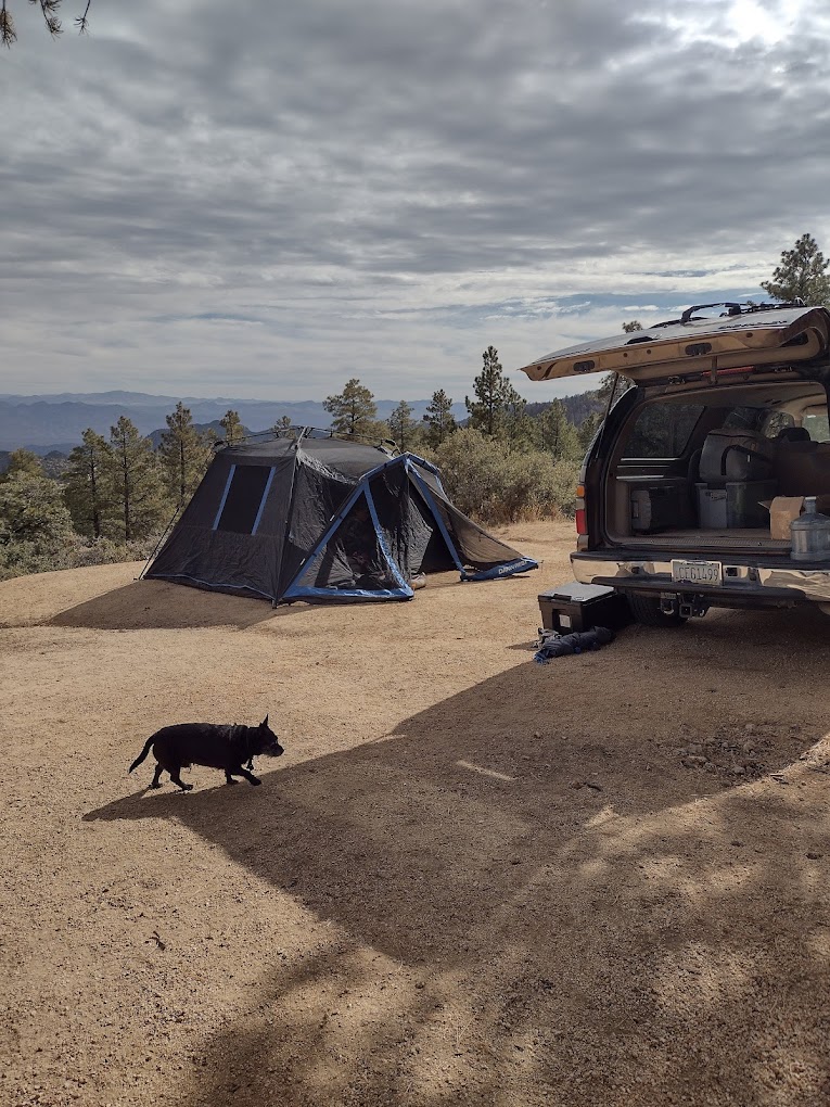 Hualapai Mountain Park