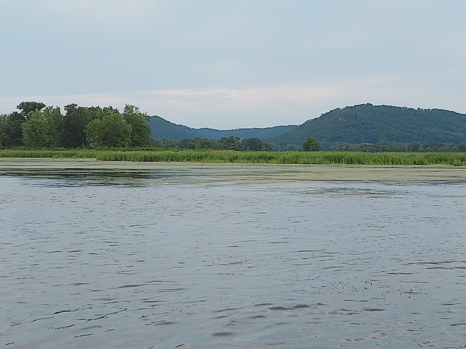 Pioneer Campsite Resort