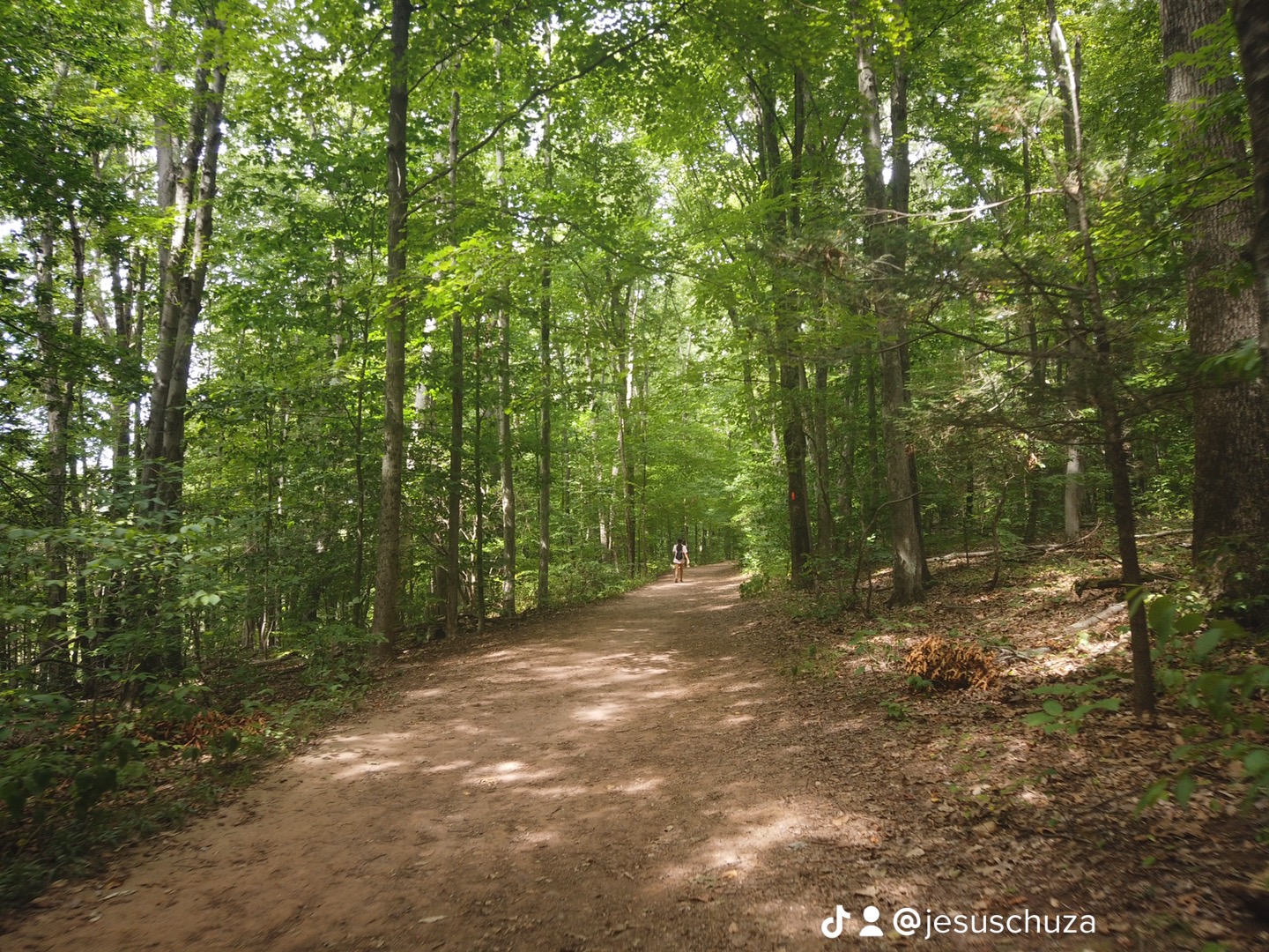 Wadsworth Falls State Park