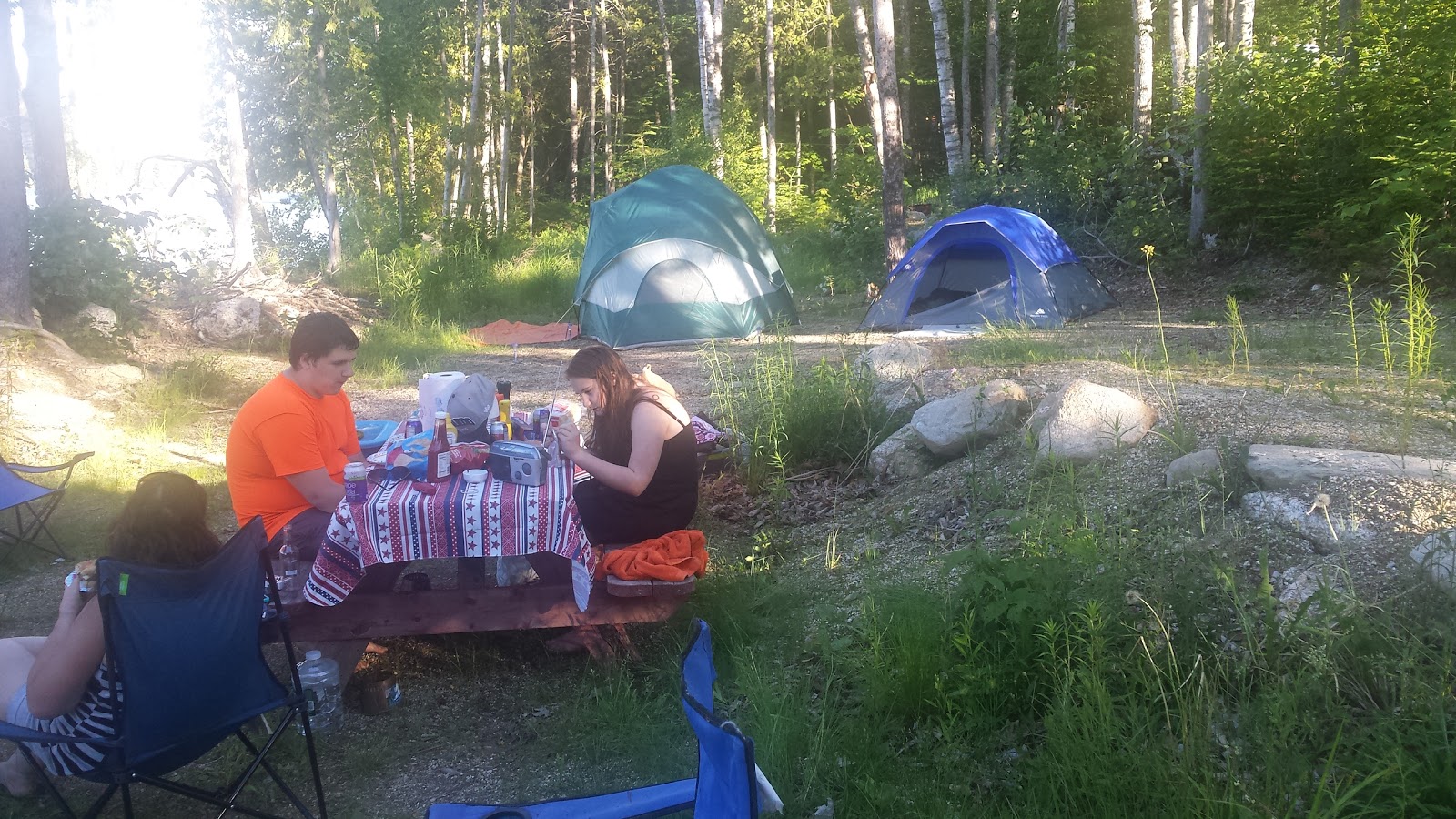 Wanderin Moose Campground