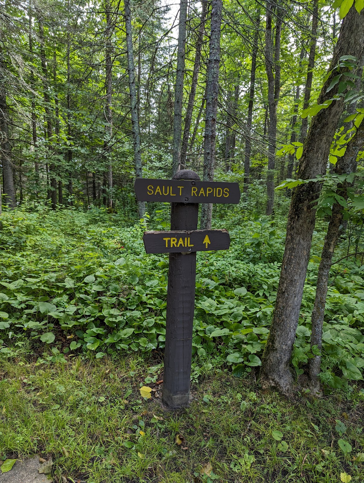 Franz Jevne State Park