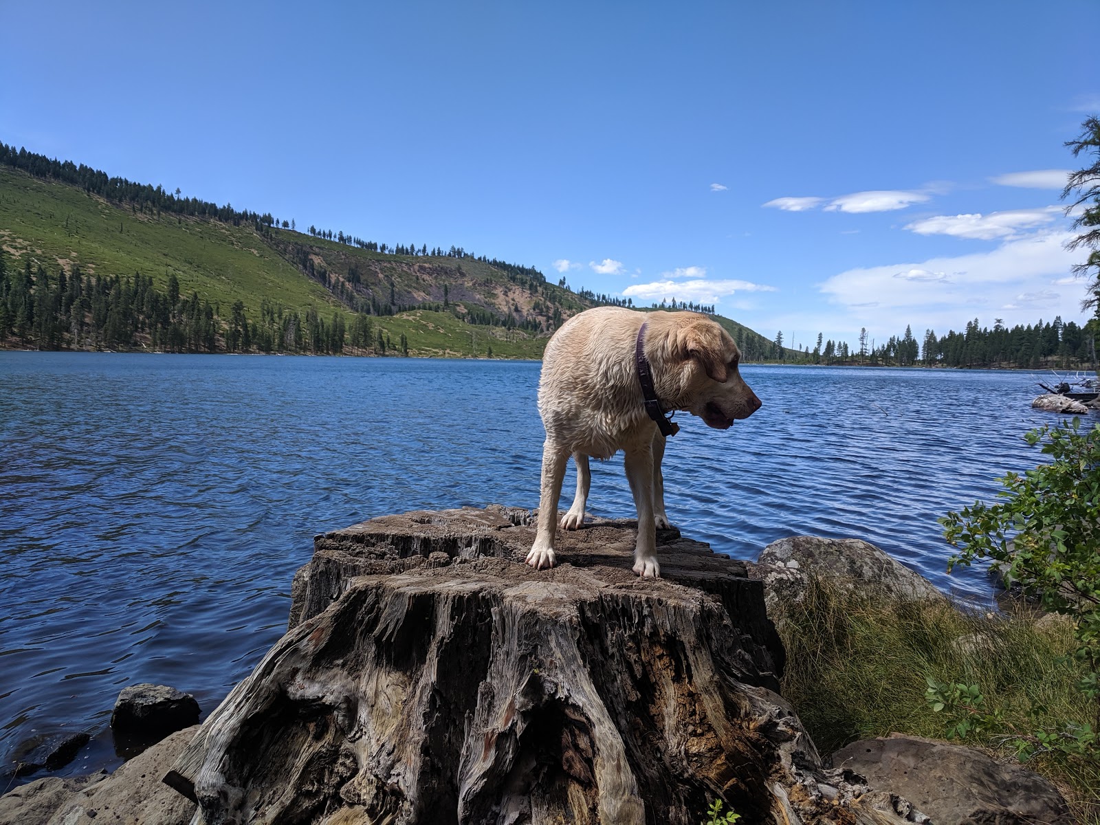 Blue Lake Campground