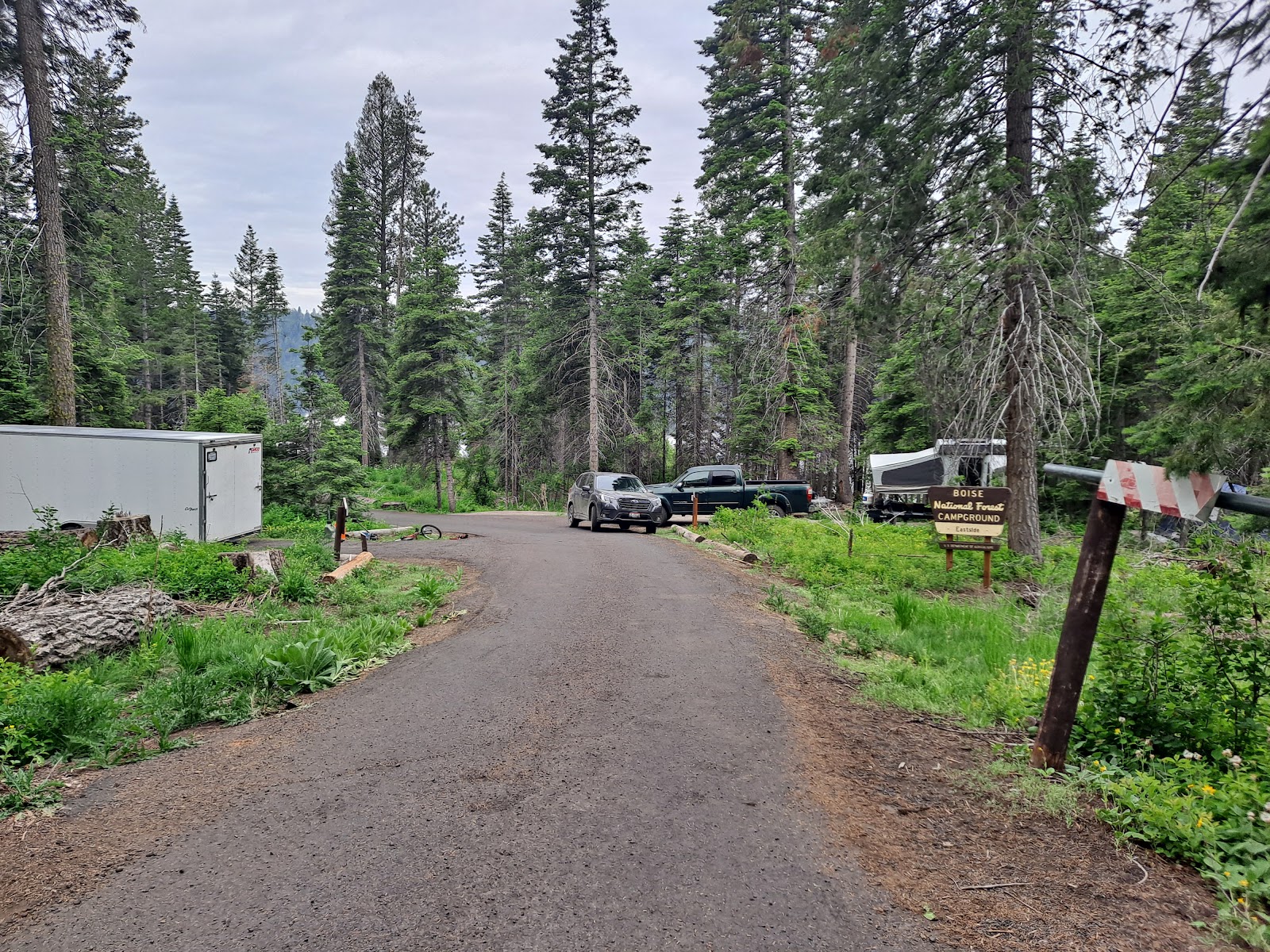 Sagehen Creek Campground