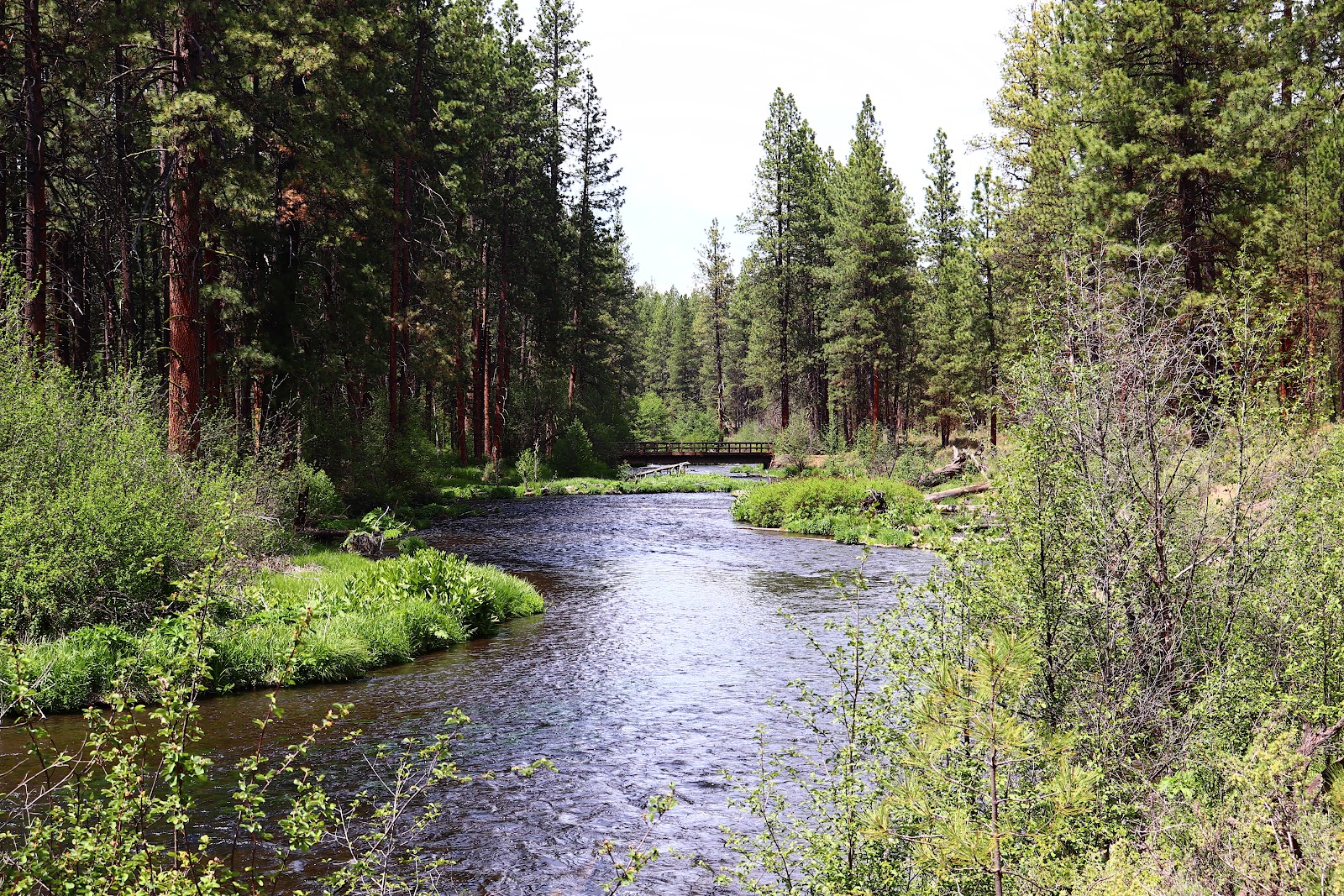 Camp Sherman Campground