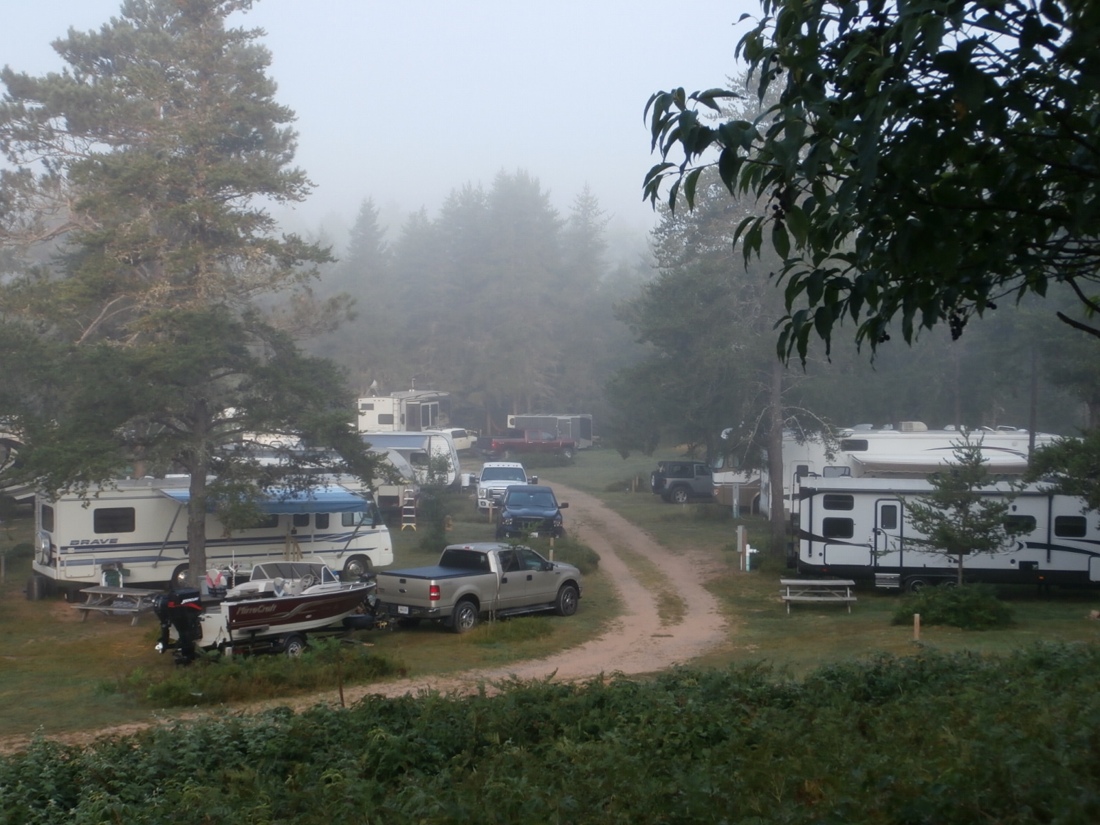 Rohr's Wilderness Tours