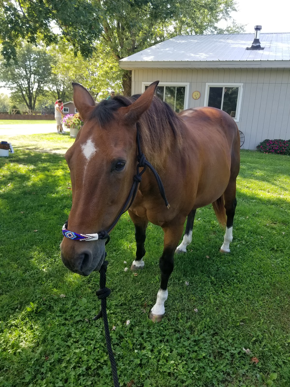 Hansen's Hide Away Ranch & Family Campground
