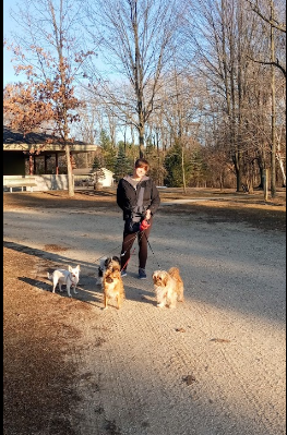 Isabella County Coldwater Lake Family Park