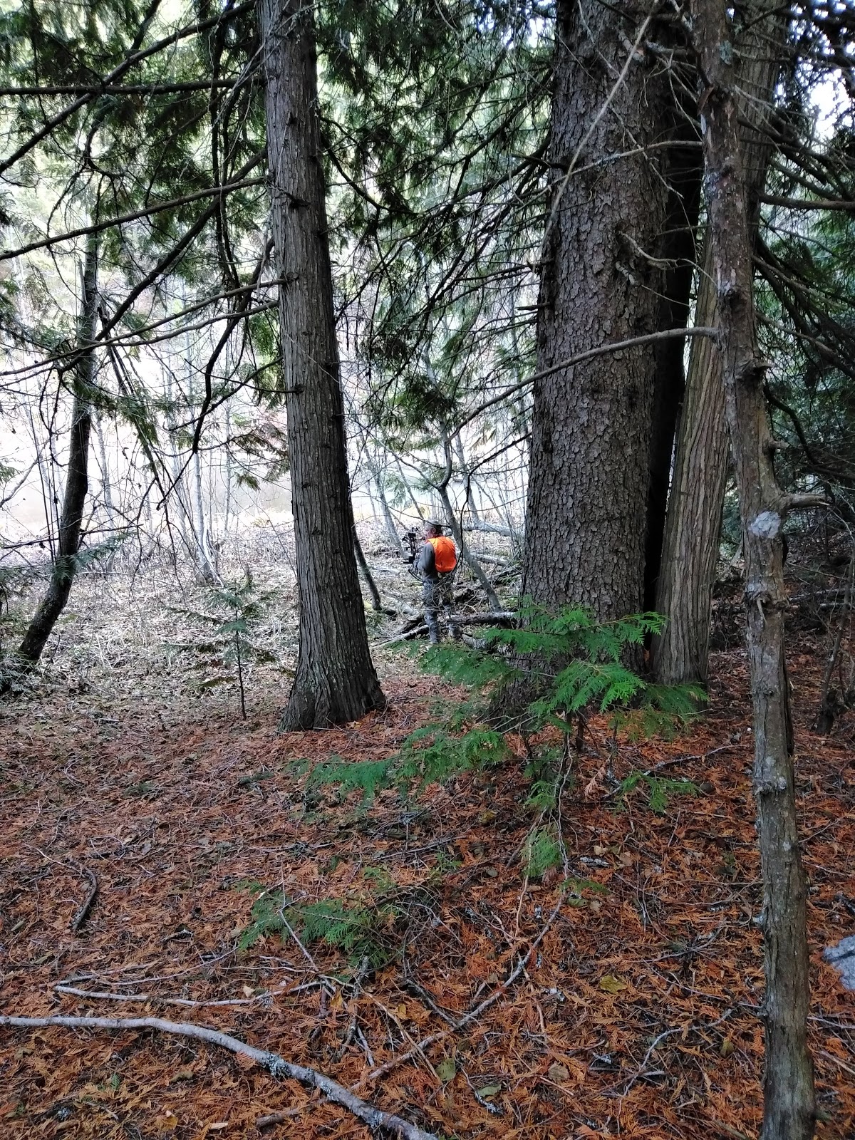 Trout Lake Campground