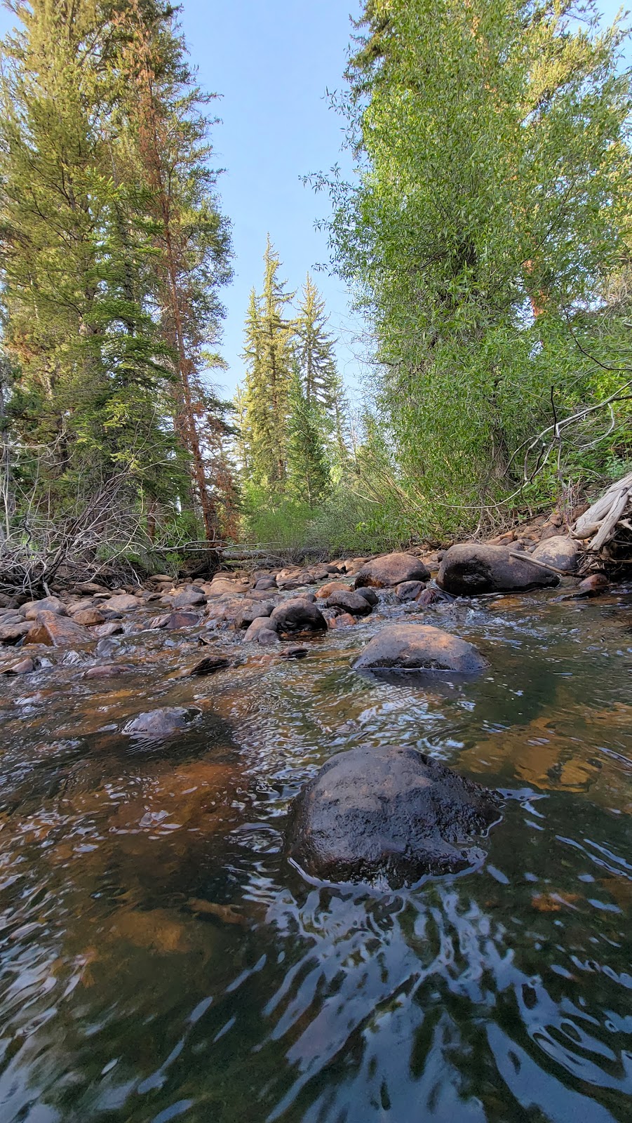 Pine Valley Group Site