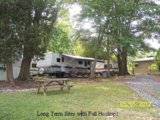 Bay Springs Campground
