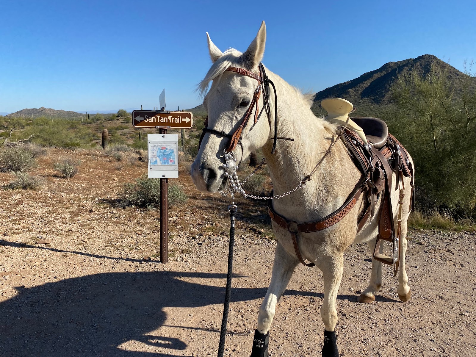 San Tan Mountain Regional Park