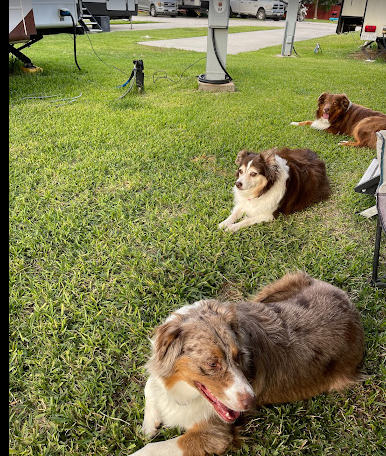 Brickhouse RV Resort