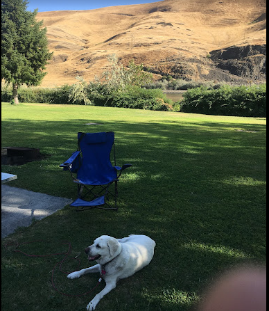 Chief Timothy State Park